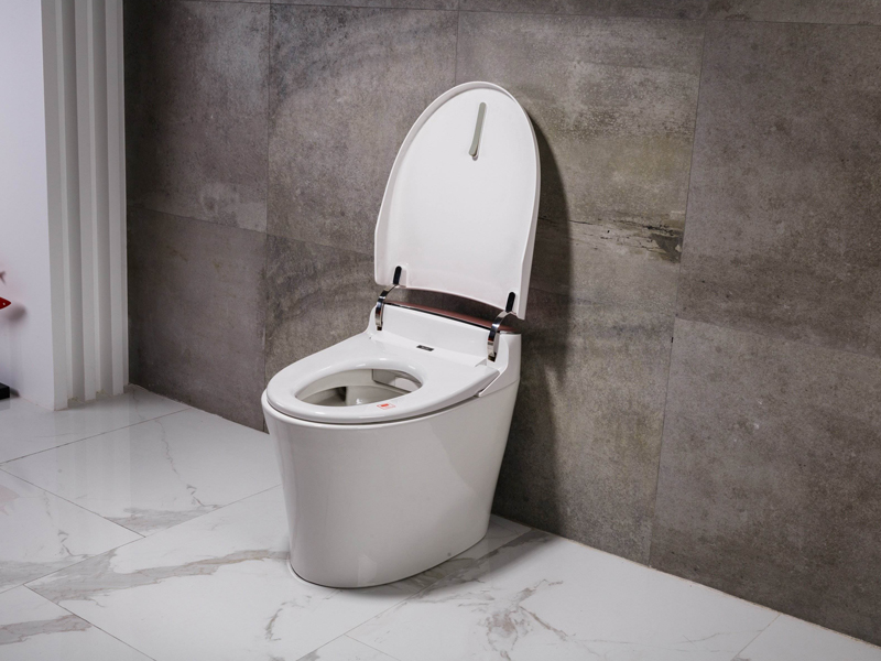 馬桶底部兩個孔是什么不重要，重要的是如何找到上門安裝馬桶的人